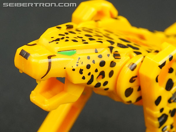Transformers Device Label Cheetor (Cheetus) (Image #61 of 96)