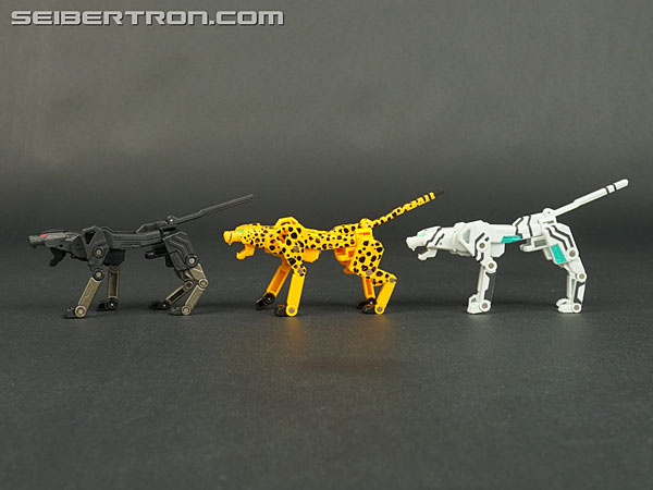 Transformers Device Label Cheetor (Cheetus) (Image #72 of 96)