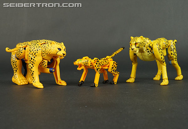 Transformers Device Label Cheetor (Cheetus) (Image #87 of 96)