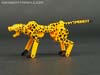 Device Label Cheetus (Cheetor)  - Image #55 of 96