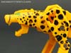 Device Label Cheetus (Cheetor)  - Image #57 of 96