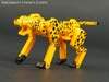 Device Label Cheetus (Cheetor)  - Image #58 of 96