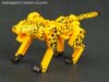 Device Label Cheetus (Cheetor)  - Image #59 of 96