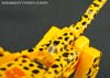 Device Label Cheetus (Cheetor)  - Image #65 of 96