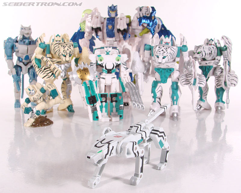 Transformers Device Label Tigatron (Image #79 of 80)