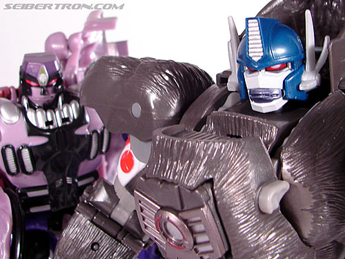 Transformers Beast Wars Reborn Optimus Primal (Convoy)  (Reissue) (Image #127 of 131)