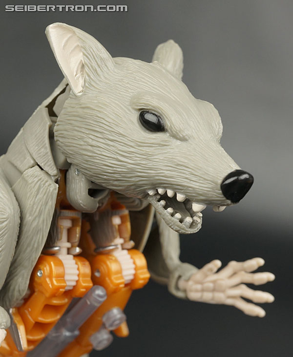 generations rattrap