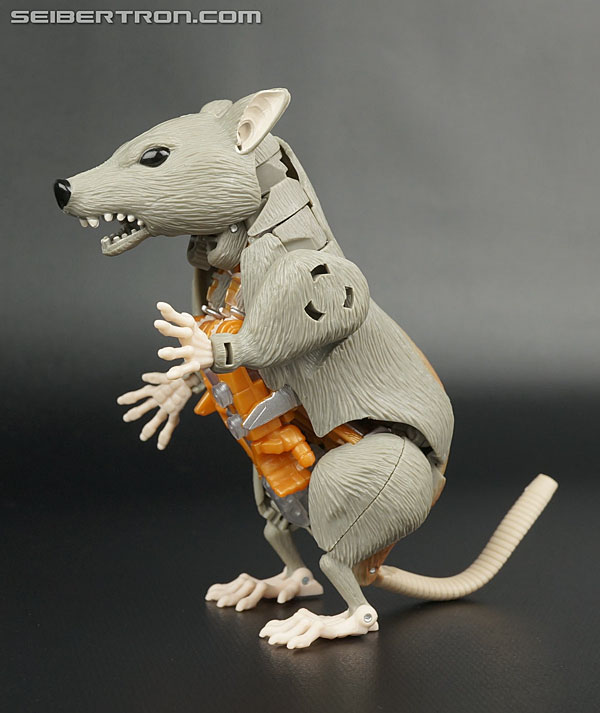 generations rattrap