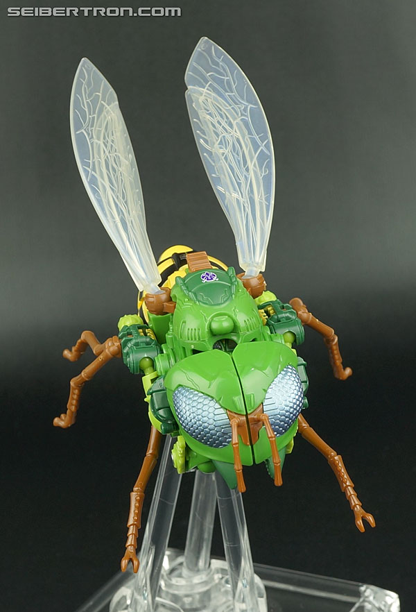 Transformers Generations Waspinator (Image #34 of 182)