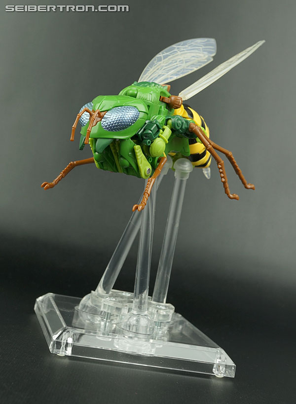 Transformers Generations Waspinator (Image #37 of 182)