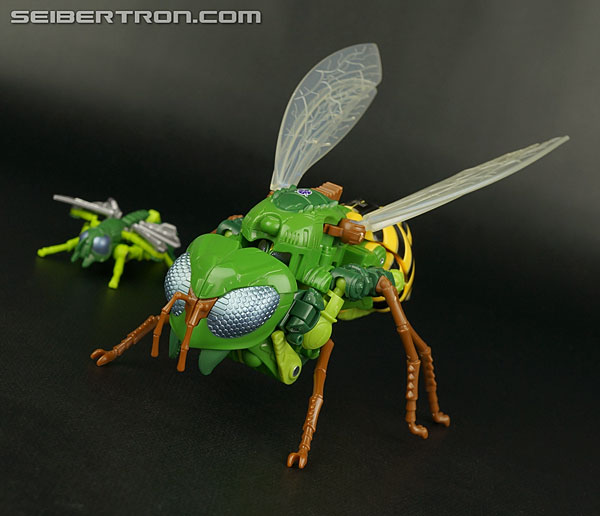 Transformers Generations Waspinator (Image #61 of 182)
