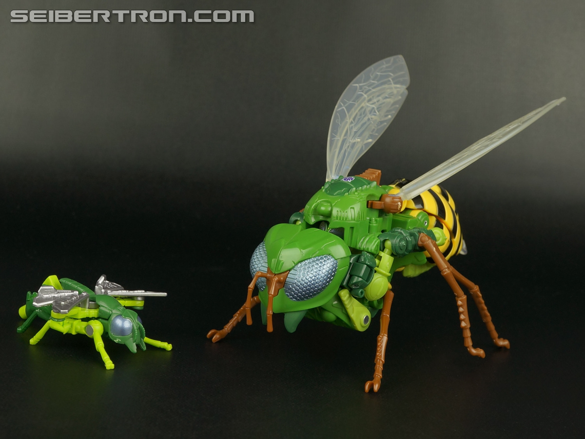 Transformers Generations Waspinator (Image #59 of 182)