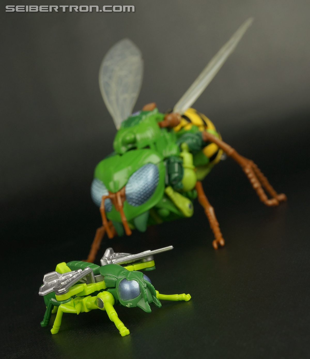 Transformers Generations Waspinator (Image #60 of 182)