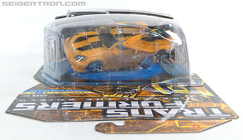 Transformers Reveal The Shield Bumblebee (Image #16 of 141)