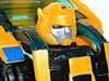 Reveal The Shield Bumblebee - Image #72 of 141