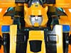 Reveal The Shield Bumblebee - Image #79 of 141