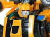 Reveal The Shield Bumblebee - Image #102 of 141