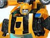 Reveal The Shield Bumblebee - Image #105 of 141