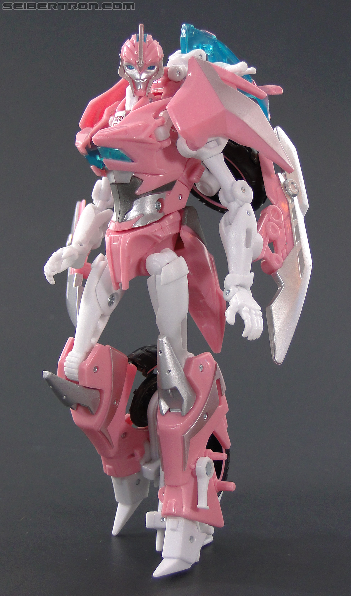 nycc arcee