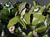 Transformers Prime: First Edition Bulkhead - Image #145 of 173