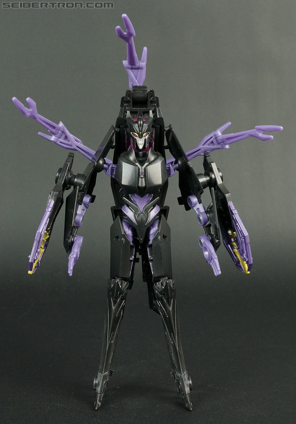 Transformers Prime: Robots In Disguise Airachnid (Image #61 of 158)