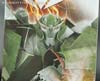 Transformers Prime: Robots In Disguise Skyquake - Image #16 of 173