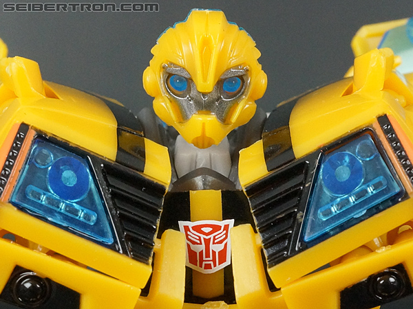 First Edition Bumblebee gallery