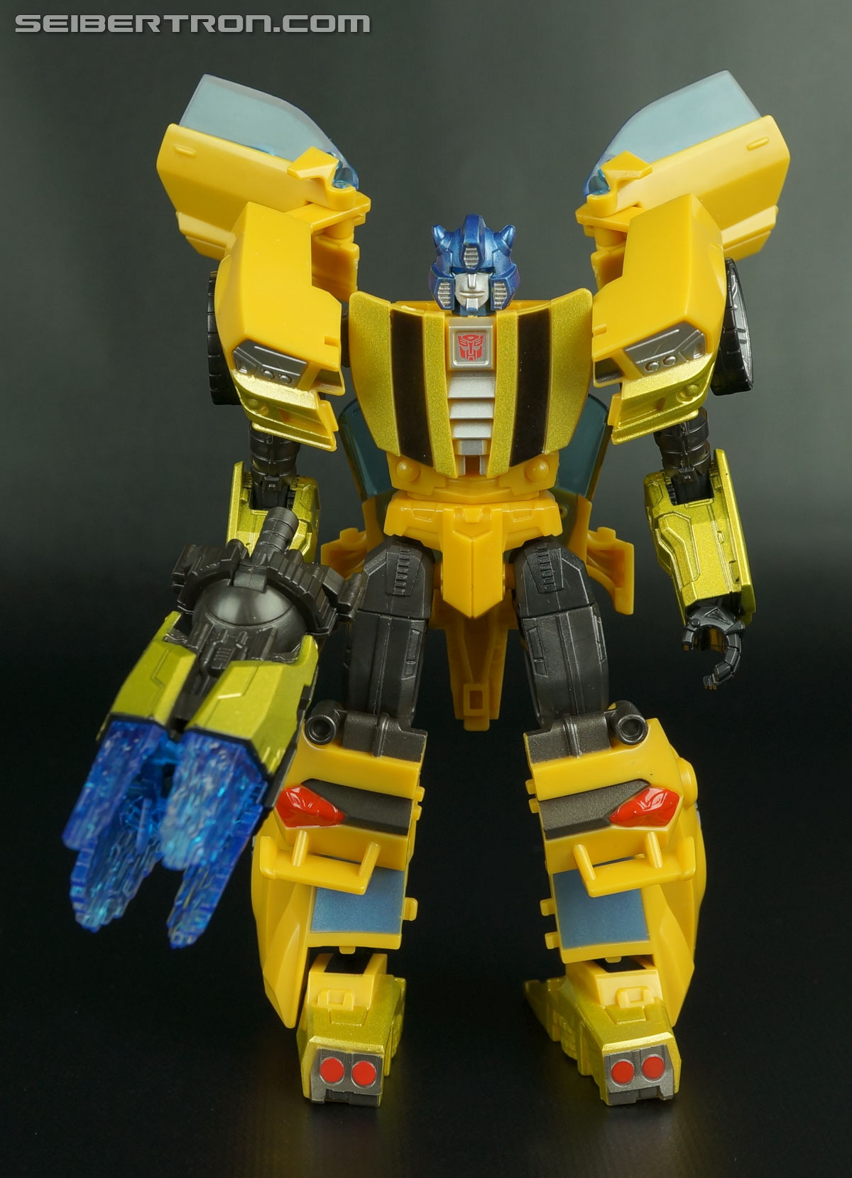 generations goldbug