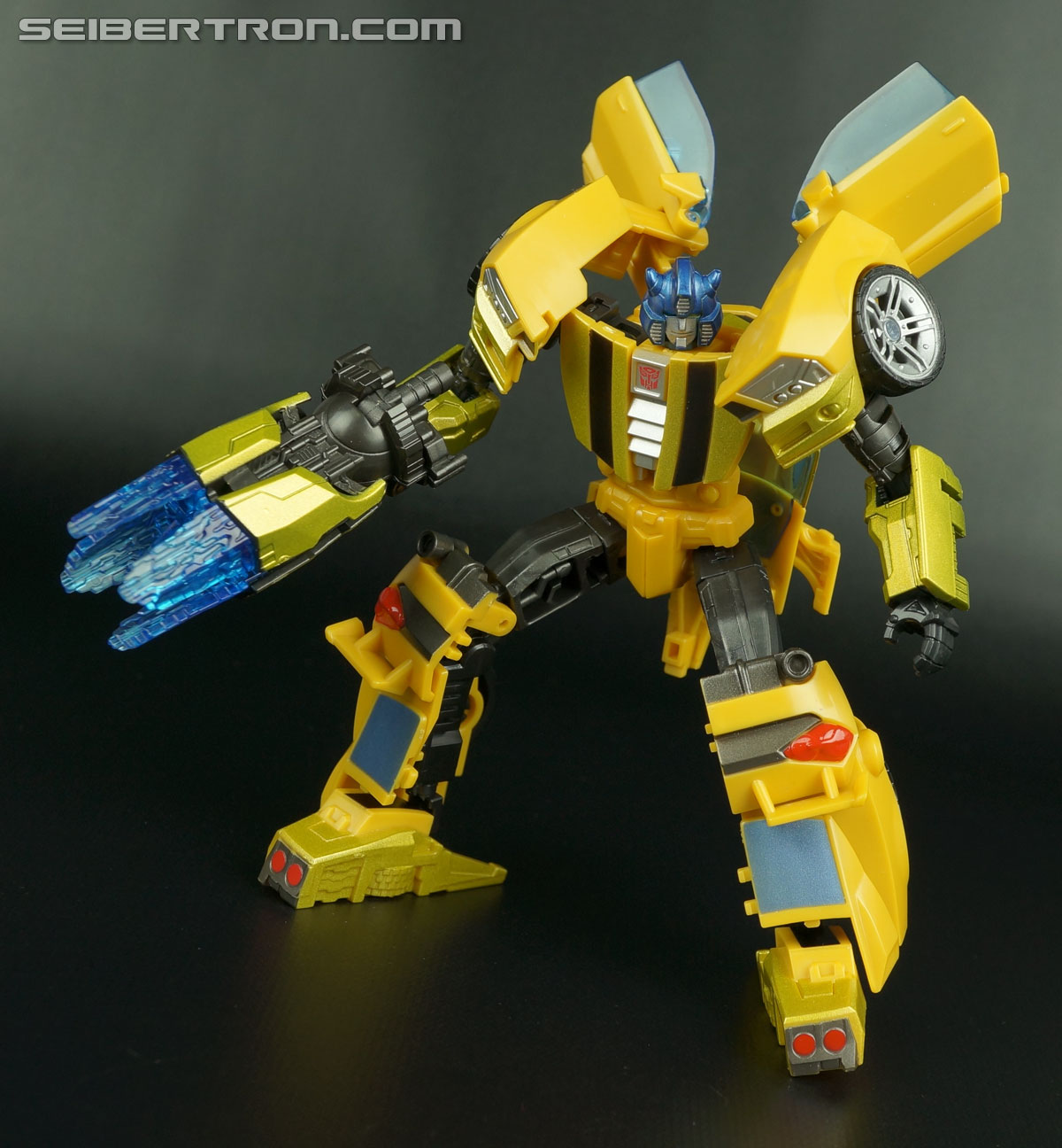 generations goldbug