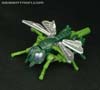 Transformers Generations Waspinator - Image #17 of 81