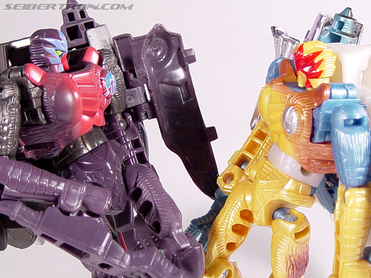 Transformers Beast Wars Metals Airazor (Image #79 of 92)