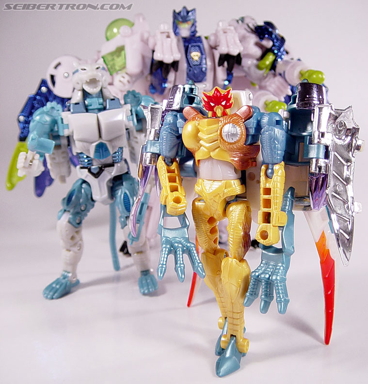 Transformers Beast Wars Metals Airazor (Image #88 of 92)