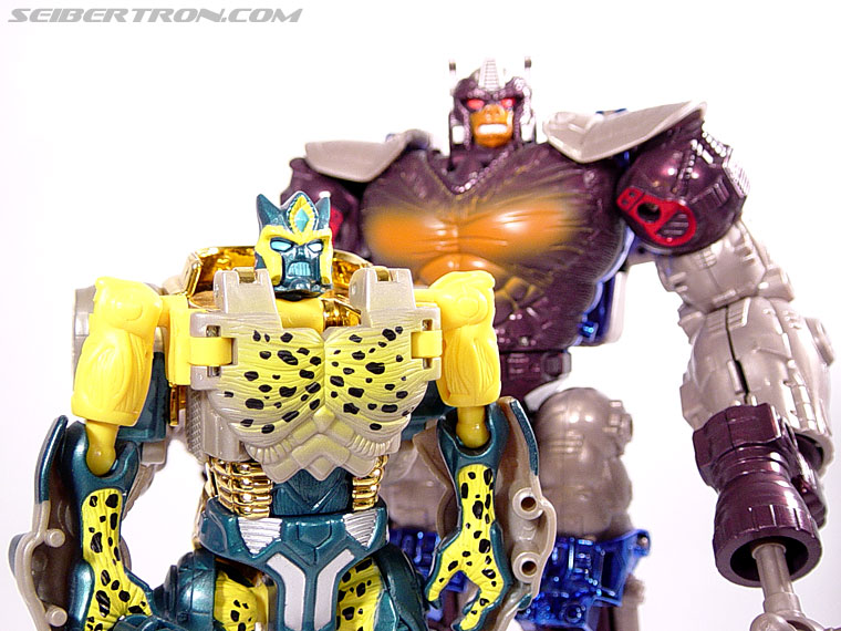Transformers Beast Wars Metals Cheetor (Cheetas) (Image #66 of 96)