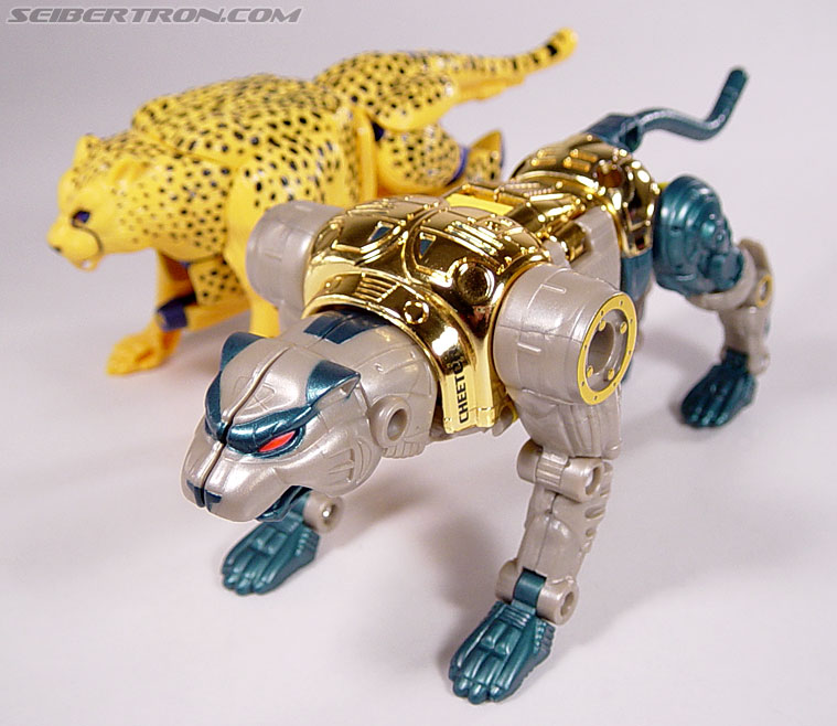 Transformers Beast Wars Metals Cheetor (Cheetas) (Image #93 of 96)