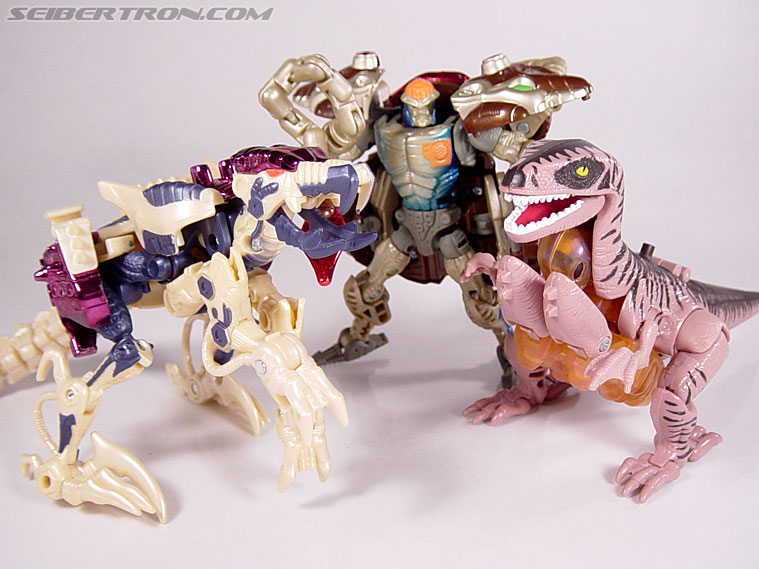 Transformers Beast Wars Metals Dinobot 2 (Image #36 of 112)