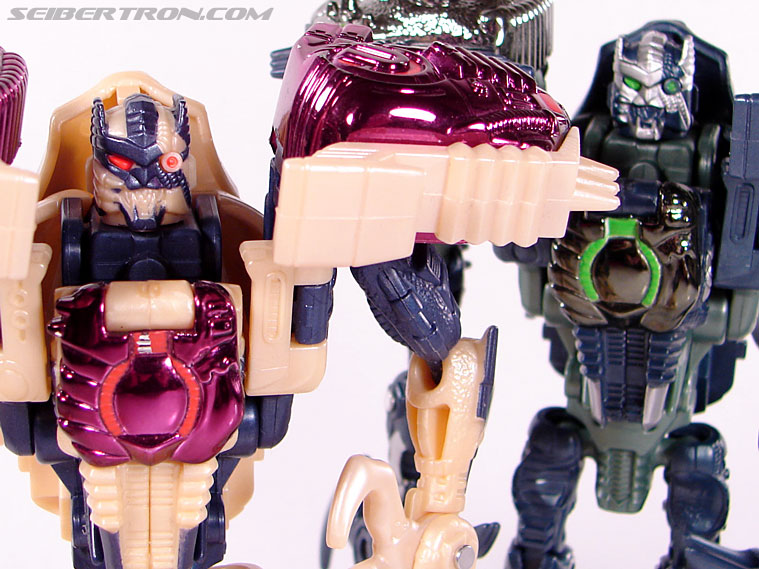 Transformers Beast Wars Metals Dinobot 2 (Image #60 of 112)