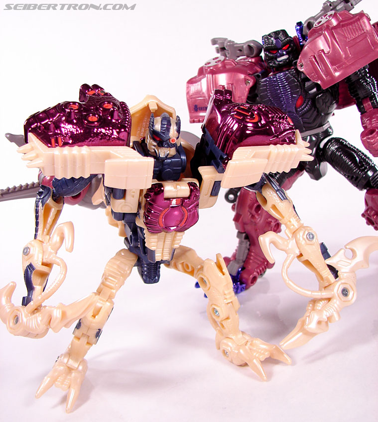 Transformers Beast Wars Metals Dinobot 2 (Image #88 of 112)