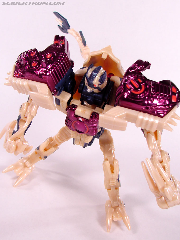 Transformers Beast Wars Metals Dinobot 2 (Image #92 of 112)