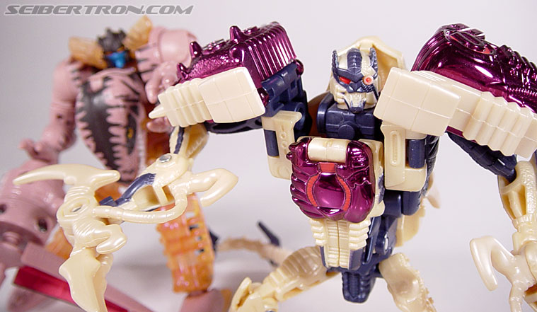 Transformers Beast Wars Metals Dinobot 2 (Image #104 of 112)
