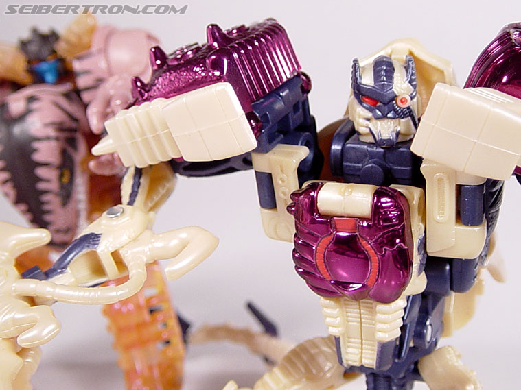 Transformers Beast Wars Metals Dinobot 2 (Image #105 of 112)