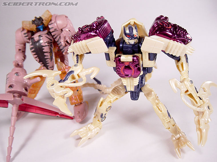 Transformers Beast Wars Metals Dinobot 2 (Image #106 of 112)