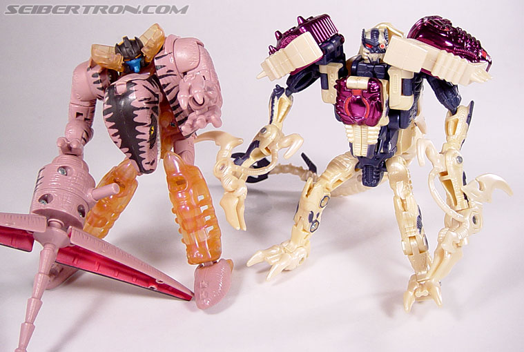 Transformers Beast Wars Metals Dinobot 2 (Image #107 of 112)