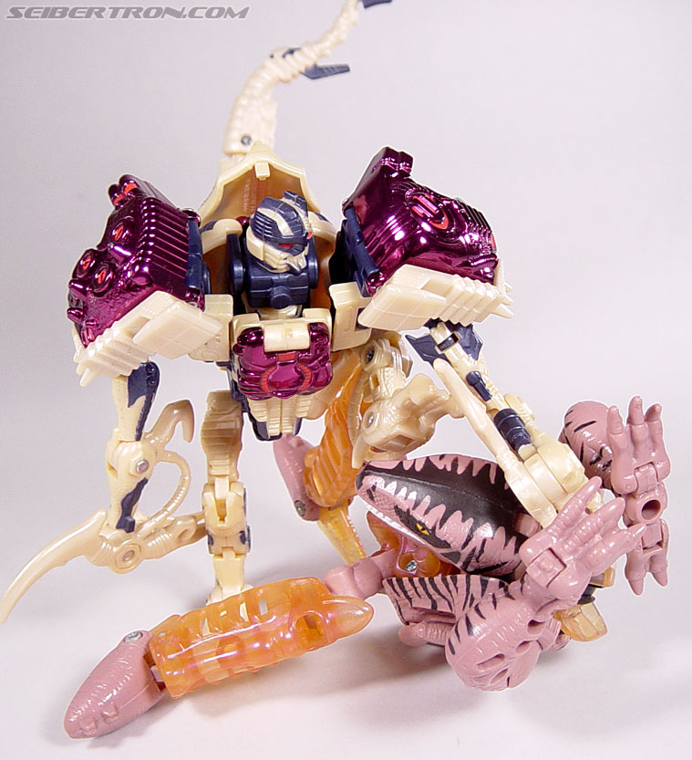 Transformers Beast Wars Metals Dinobot 2 (Image #109 of 112)