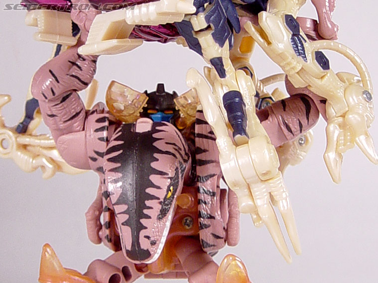 Transformers Beast Wars Metals Dinobot 2 (Image #112 of 112)