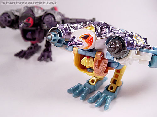 Transformers Beast Wars Metals Airazor (Image #19 of 92)
