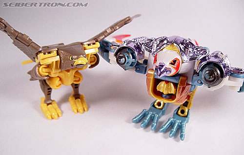 Transformers Beast Wars Metals Airazor (Image #21 of 92)