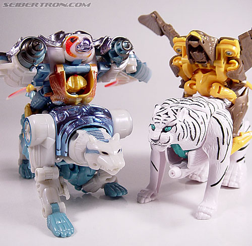 Transformers Beast Wars Metals Airazor (Image #25 of 92)
