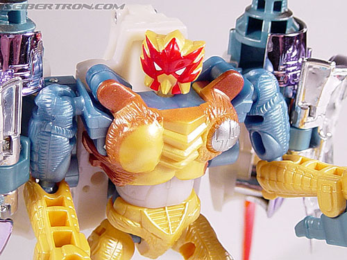 Transformers Beast Wars Metals Airazor (Image #58 of 92)