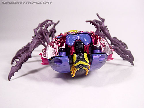Transformers Beast Wars Metals Blackarachnia (Black Widow) (Image #25 of 85)