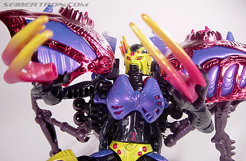 Transformers Beast Wars Metals Blackarachnia (Black Widow) (Image #64 of 85)